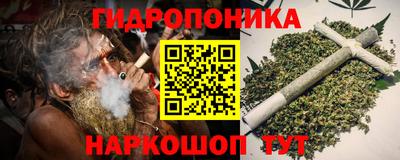 прущие грибы Усть-Илимск