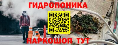 прущие грибы Усть-Илимск